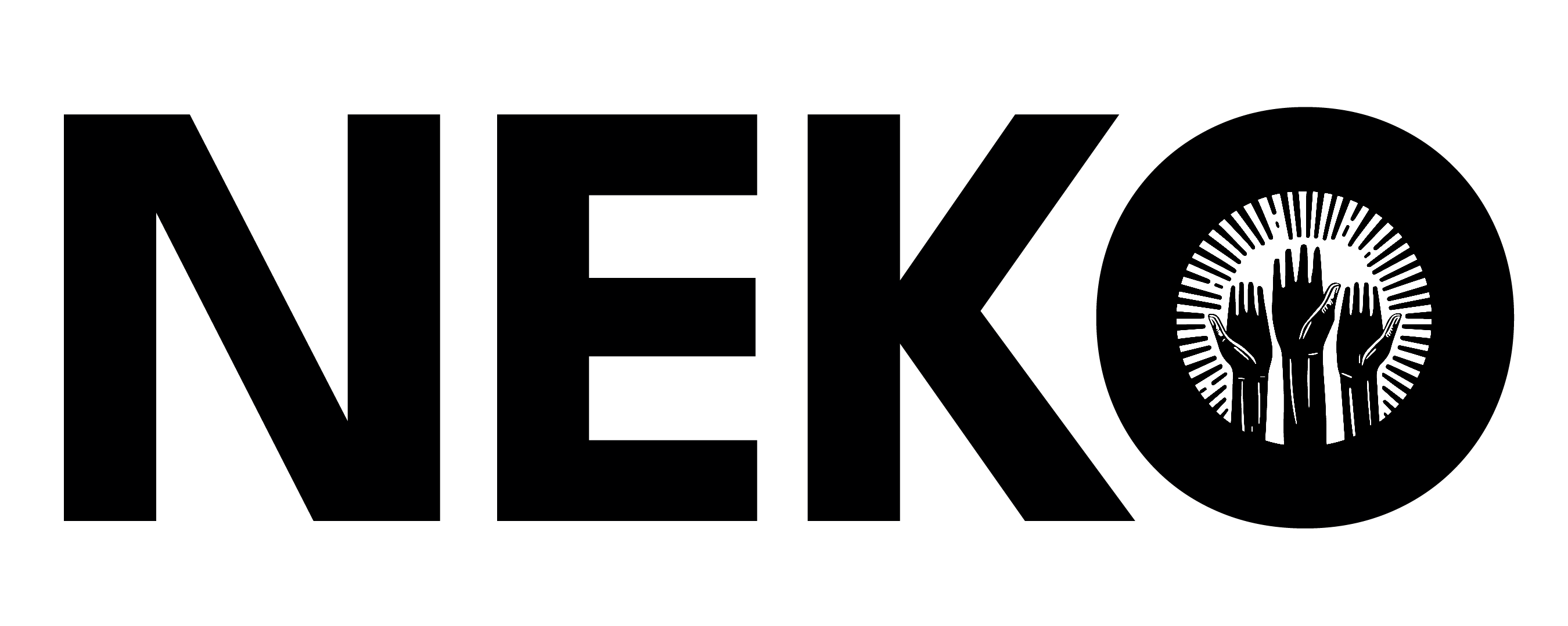 Northeast Kingdom Organizing